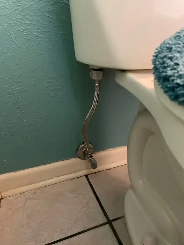 Toilet supply line and shutoff against a teal wall